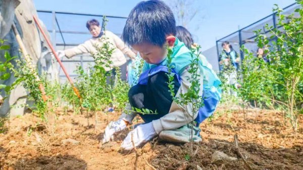 植树绿动大武汉！这个植树节，武汉人为家园兴绿2万株树