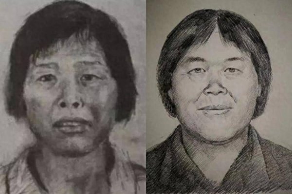 “梅姨”现身并落网！对贩卖儿童事实供认不讳，已被依法逮捕